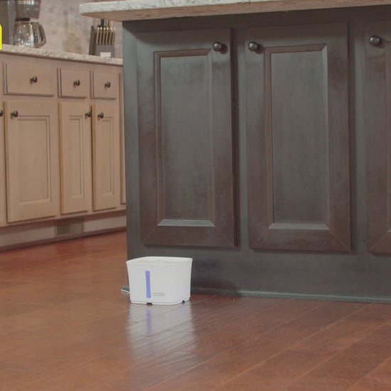 Introducing the New PetSafe® Viva™ Pet Fountain for Cats and Dogs