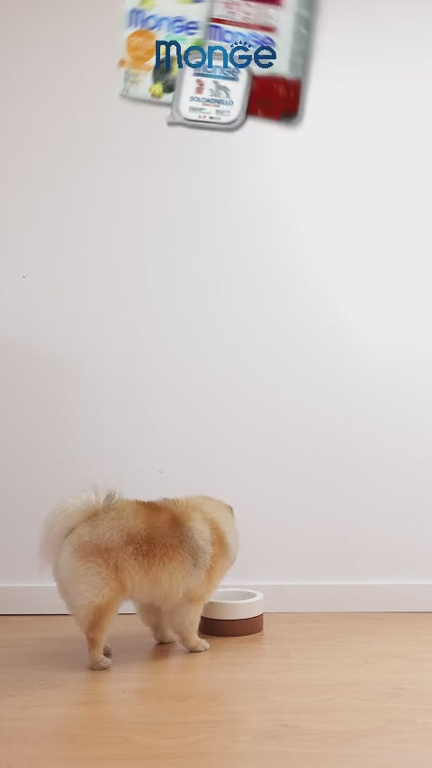 Monge: Mini Adult Cordero y paté Solo Agnello: vídeo oficial con información en español.