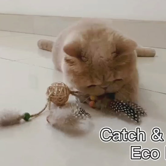 GiGwi Catch & Scratch Eco Line: video oficial del producto