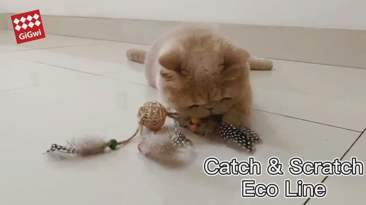 GiGwi Catch & Scratch Eco Line: video oficial del producto