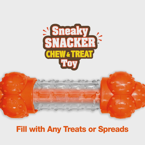 Sneaky Snacker Dog Treat Toy