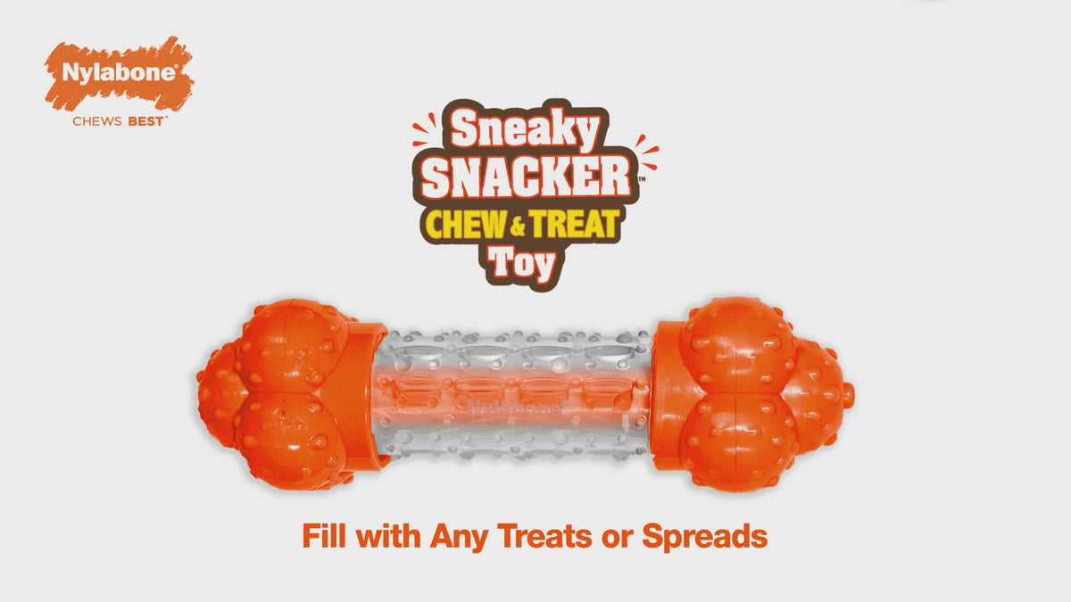 Sneaky Snacker Dog Treat Toy