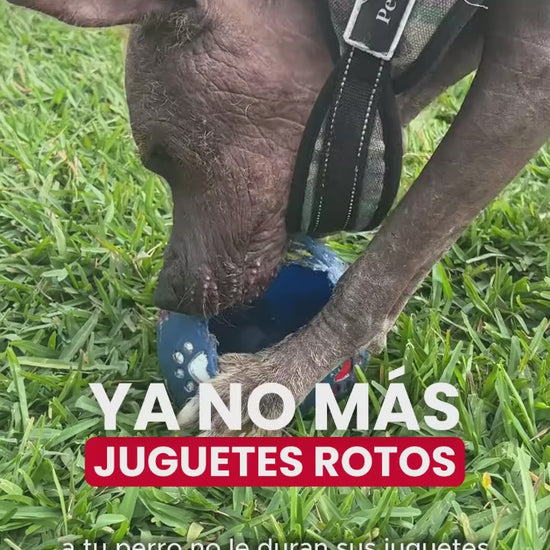 Gigwi Jumball: pelota con asa para jugar. Vídeo oficial en español del distribuidor Ludipek.