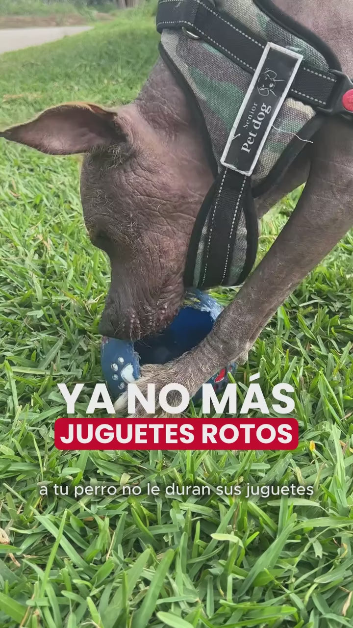 Gigwi Jumball: pelota con asa para jugar. Vídeo oficial en español del distribuidor Ludipek.