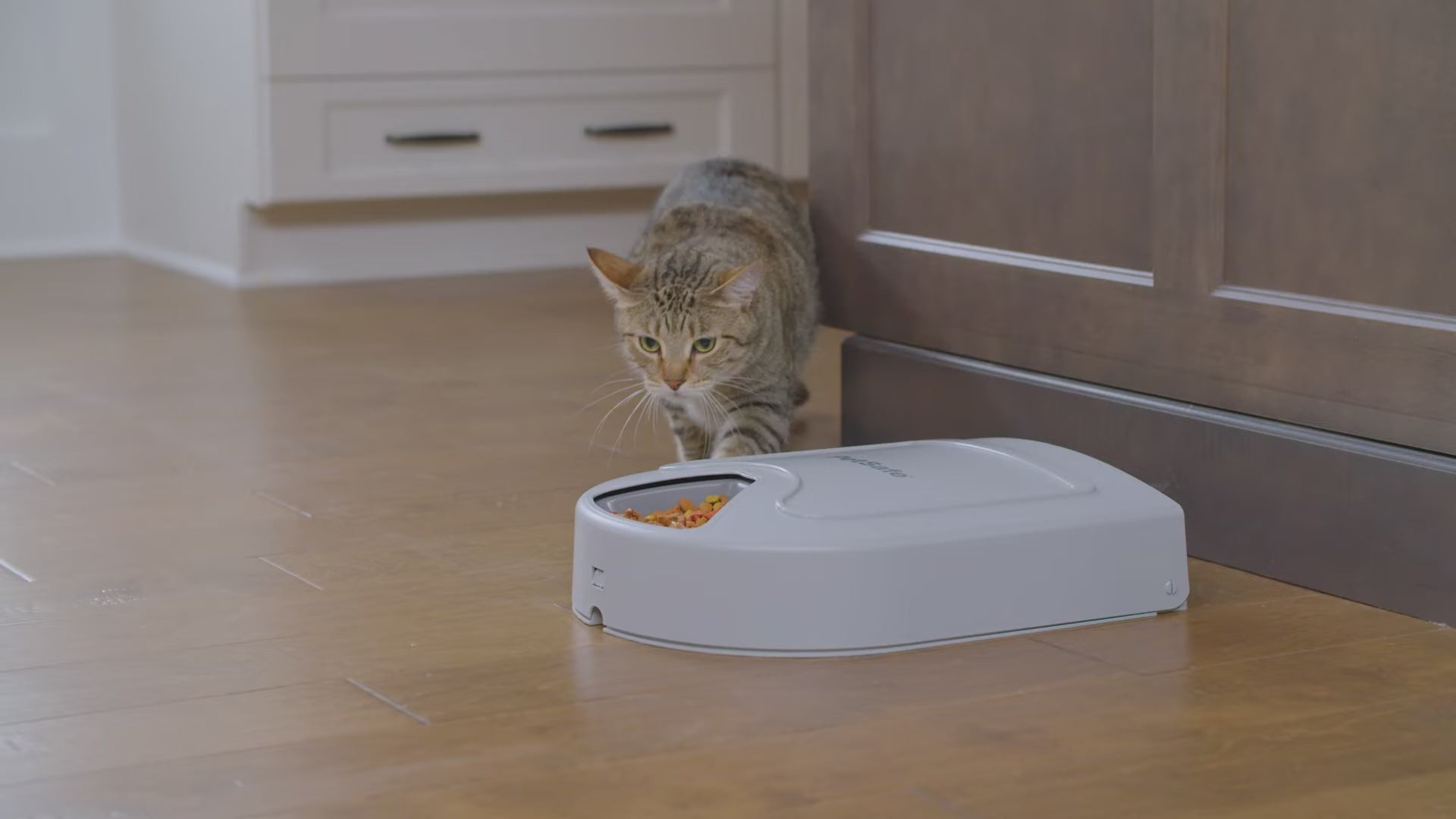 PetSafe® 5 Meal Pet Feeder
