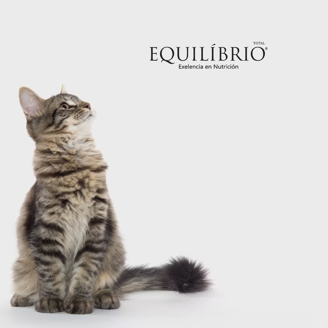 Equilibrio Gatos Castrados: nutrición específica: vídeo oficial con información en español.
