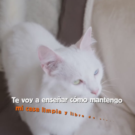 Cómo limpiar el arenero con America Litter y Litter Genie. Vídeo con explicación en español.