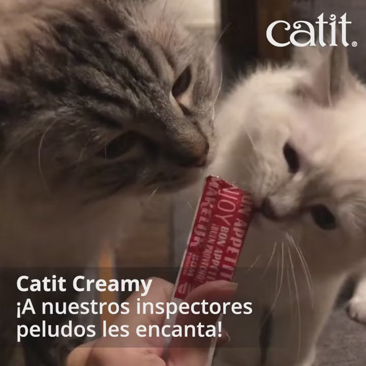 Catit Creamy: vídeo oficial con textos en español y gatos disfrutando del premio lamible.