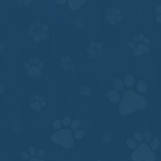 VetSolution Urinary Struvite: cuidado urinario felino: vídeo oficial con información en español.