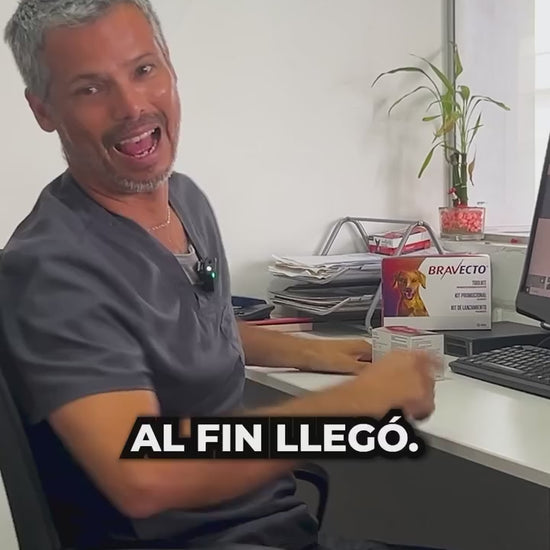 Bravecto 365: protección anual administrada por el veterinario