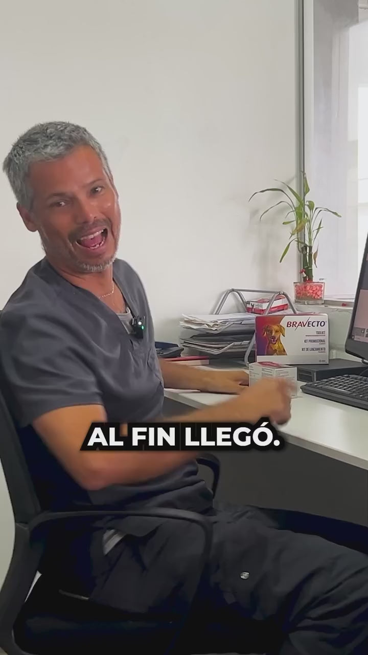 Bravecto 365: protección anual administrada por el veterinario