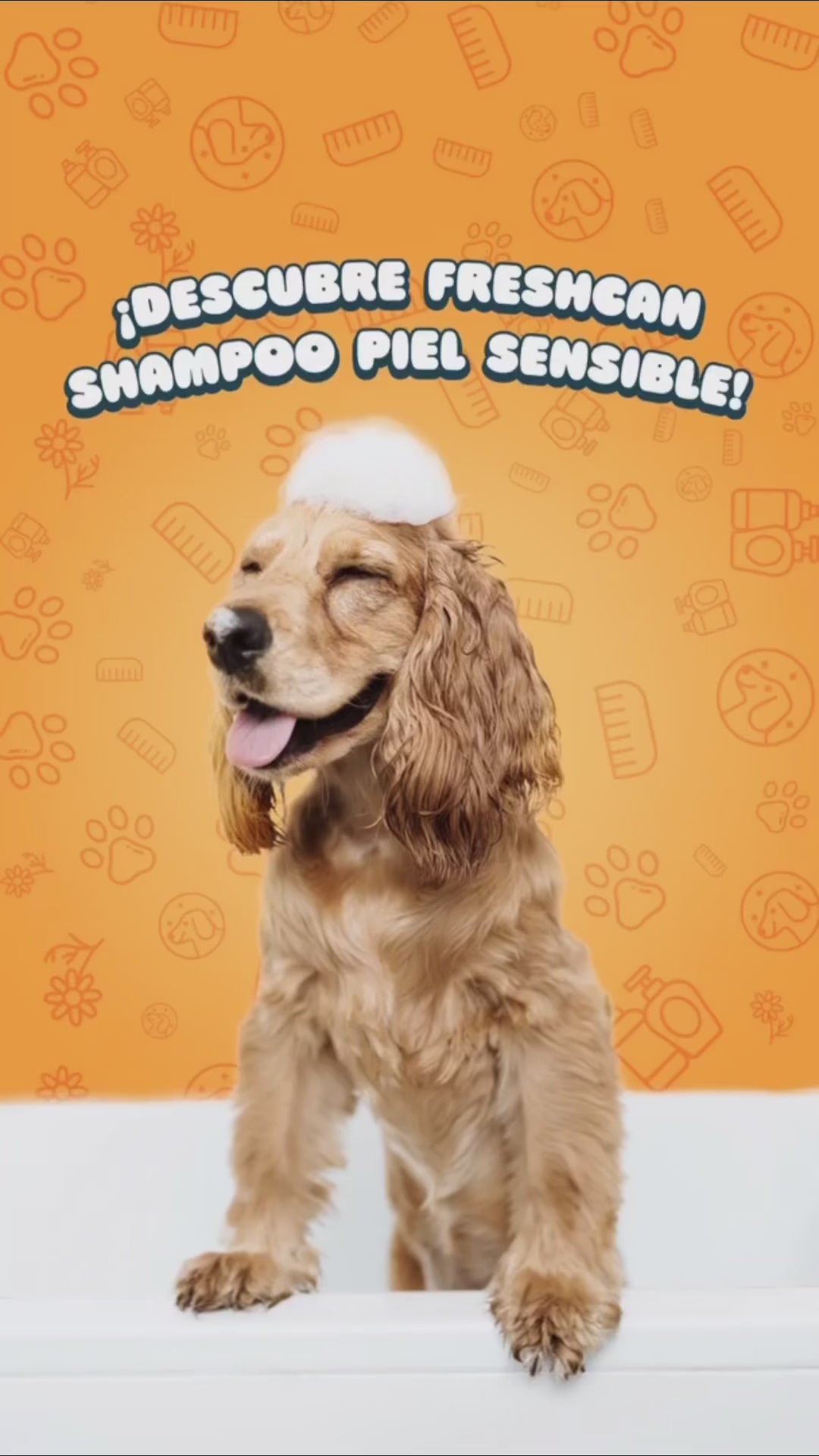 Descubre Fresh Can Piel Sensible. Vídeo oficial en español.