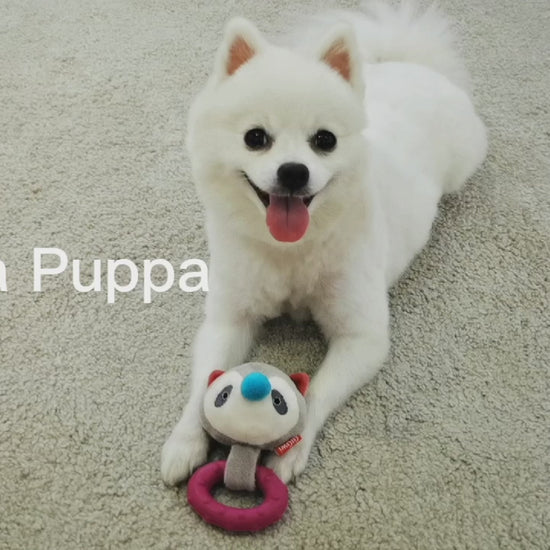 GiGwi Suppa Puppa de felpa con goma: demostración del aro de mordida, sonido y juego para cachorros.