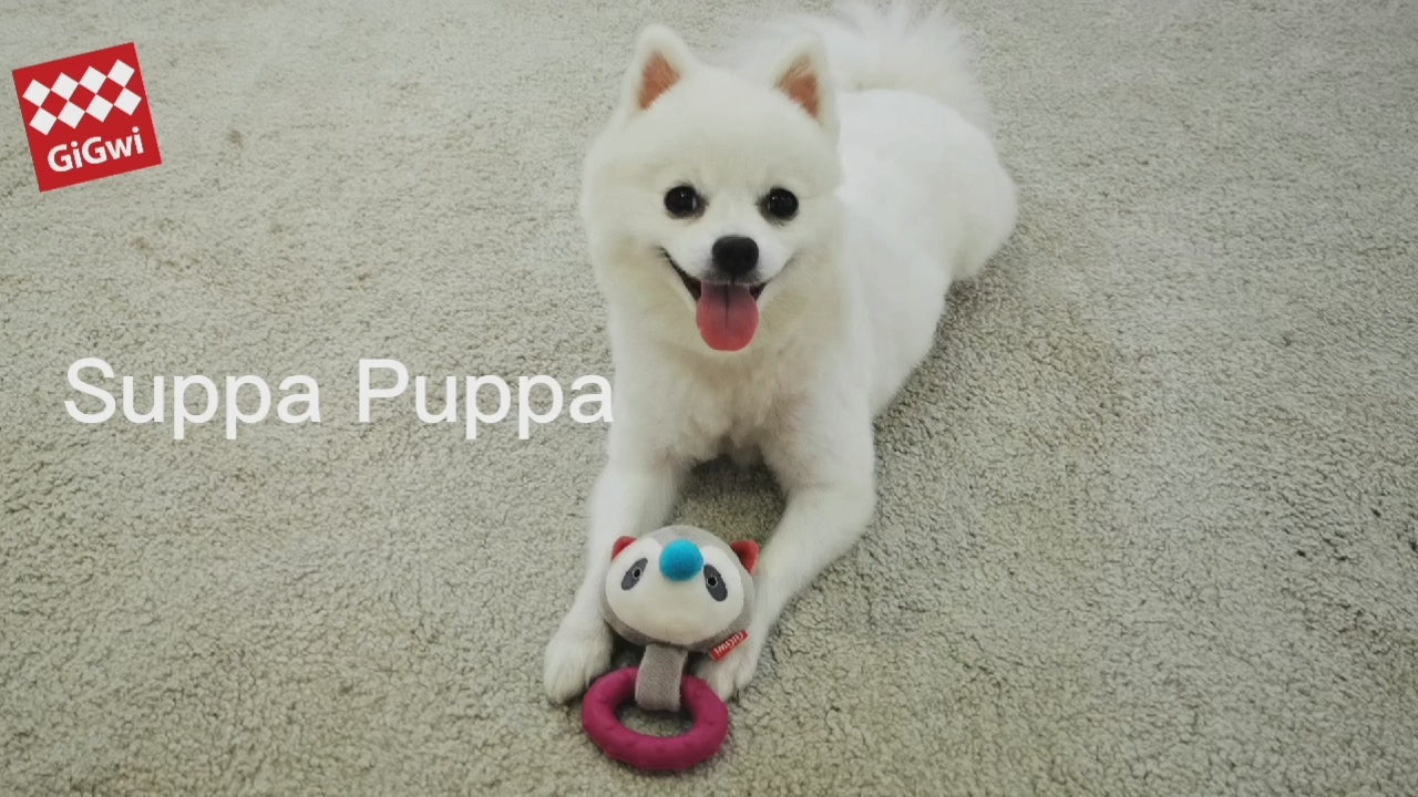 GiGwi Suppa Puppa de felpa con goma: demostración del aro de mordida, sonido y juego para cachorros.