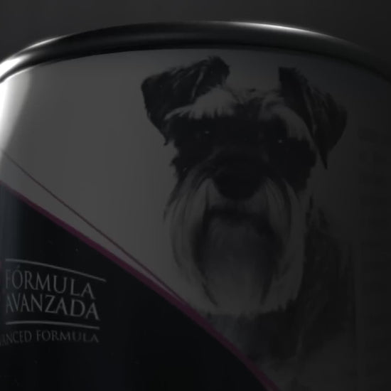Canbo Paté Hipoalergénico para adultos y cachorros: vídeo oficial en español.