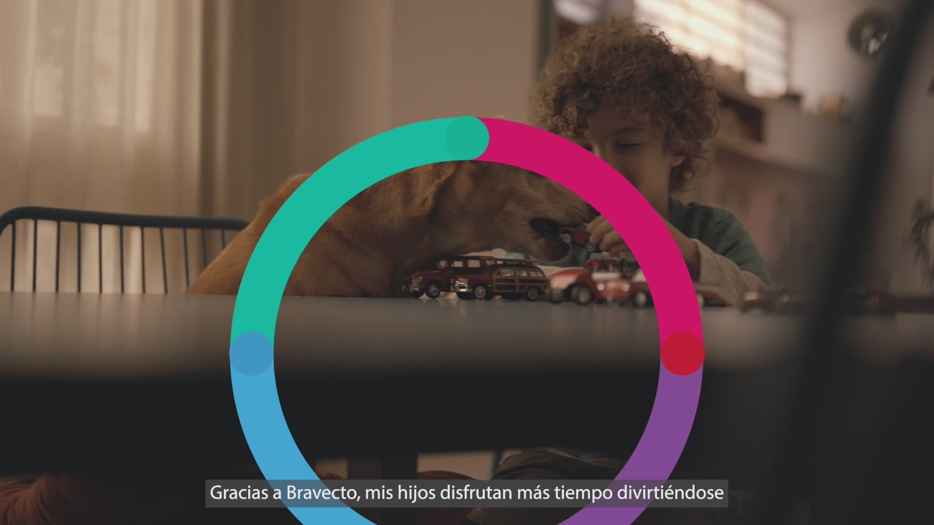 Vídeo oficial de MSD — bravecto