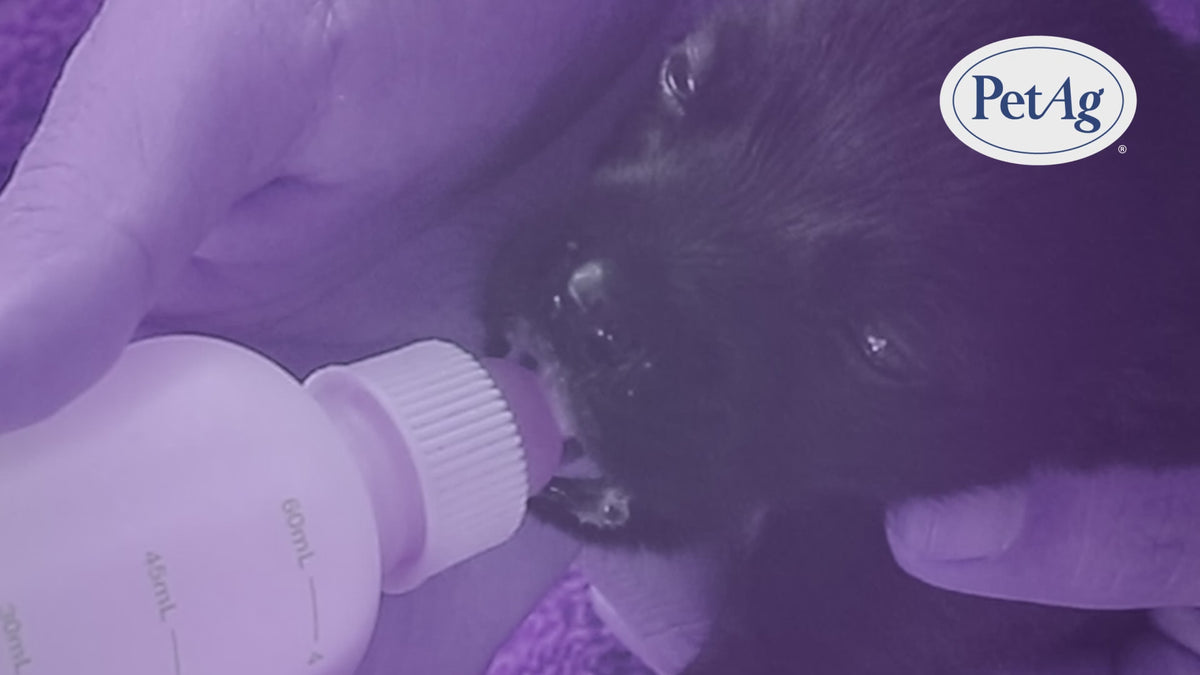 Esbilac® Puppy Milk Replacer Liquid | Esbilac® Puppy Milk Replacer Powder