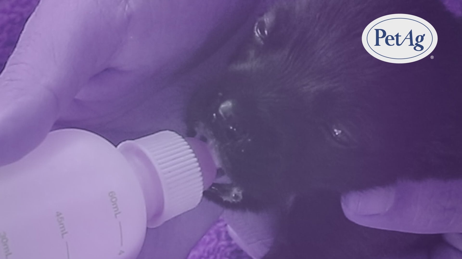 Esbilac® Puppy Milk Replacer Liquid | Esbilac® Puppy Milk Replacer Powder