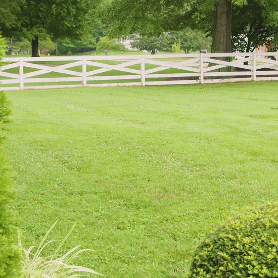 Quiet Your Dog's Barking with PetSafe® Outdoor Bark Control
