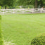 Quiet Your Dog's Barking with PetSafe® Outdoor Bark Control