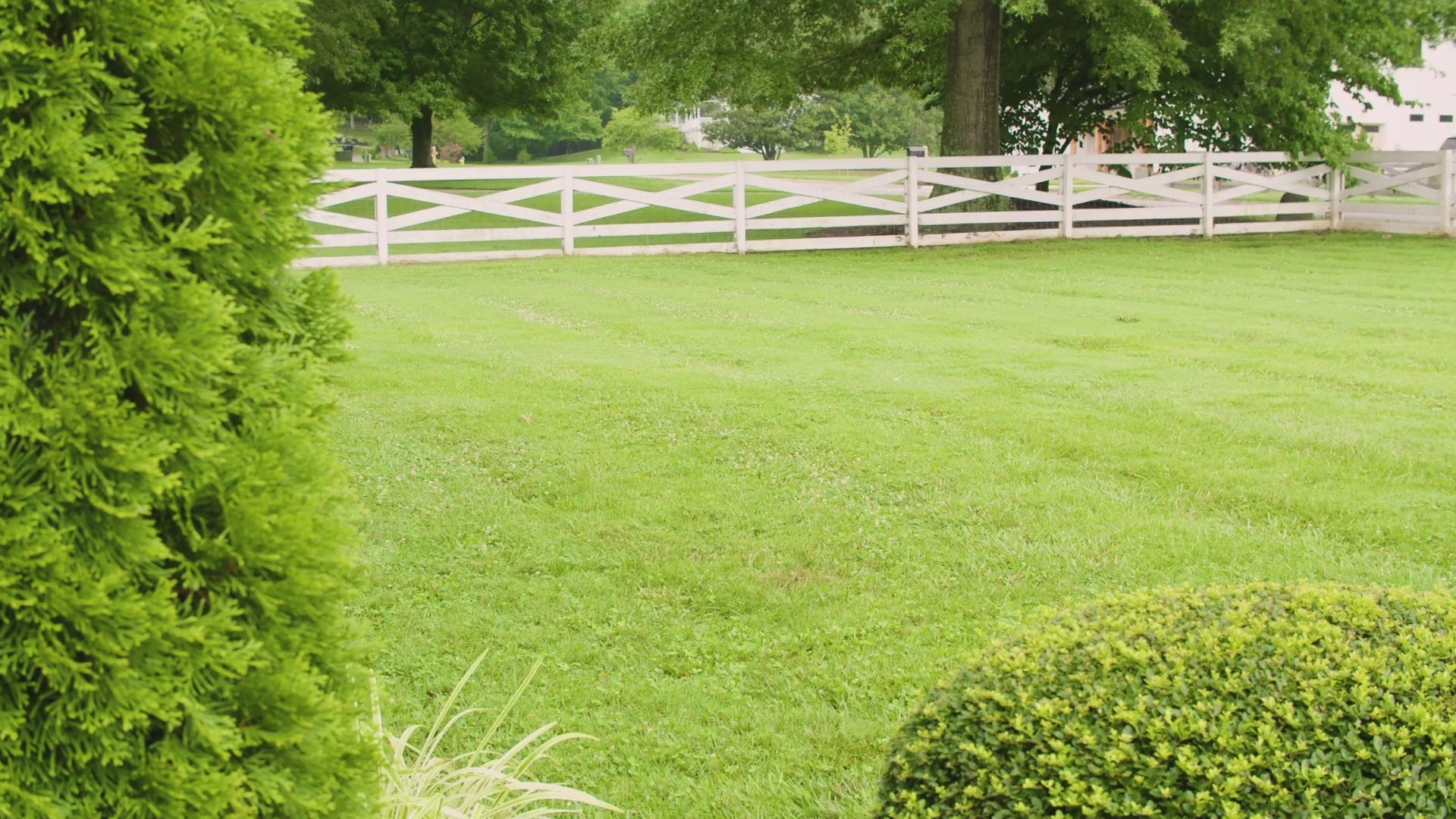 Quiet Your Dog's Barking with PetSafe® Outdoor Bark Control