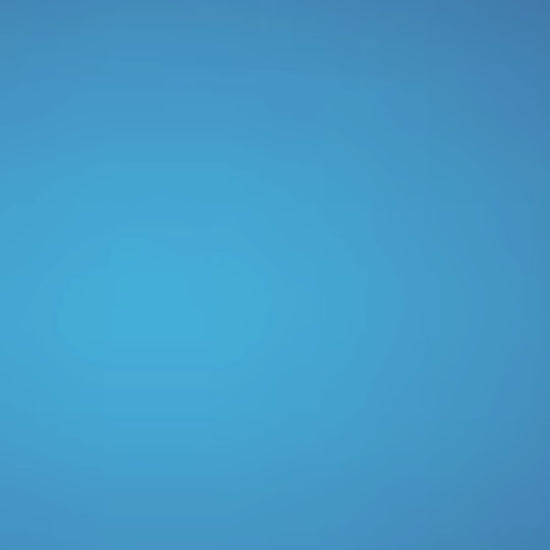 VetSolution: nueve dietas secas para perros: vídeo oficial con información en español.