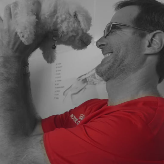 Royal Canin Anallergenic: entrevista veterinaria sobre dieta de eliminación: vídeo oficial con información en español.