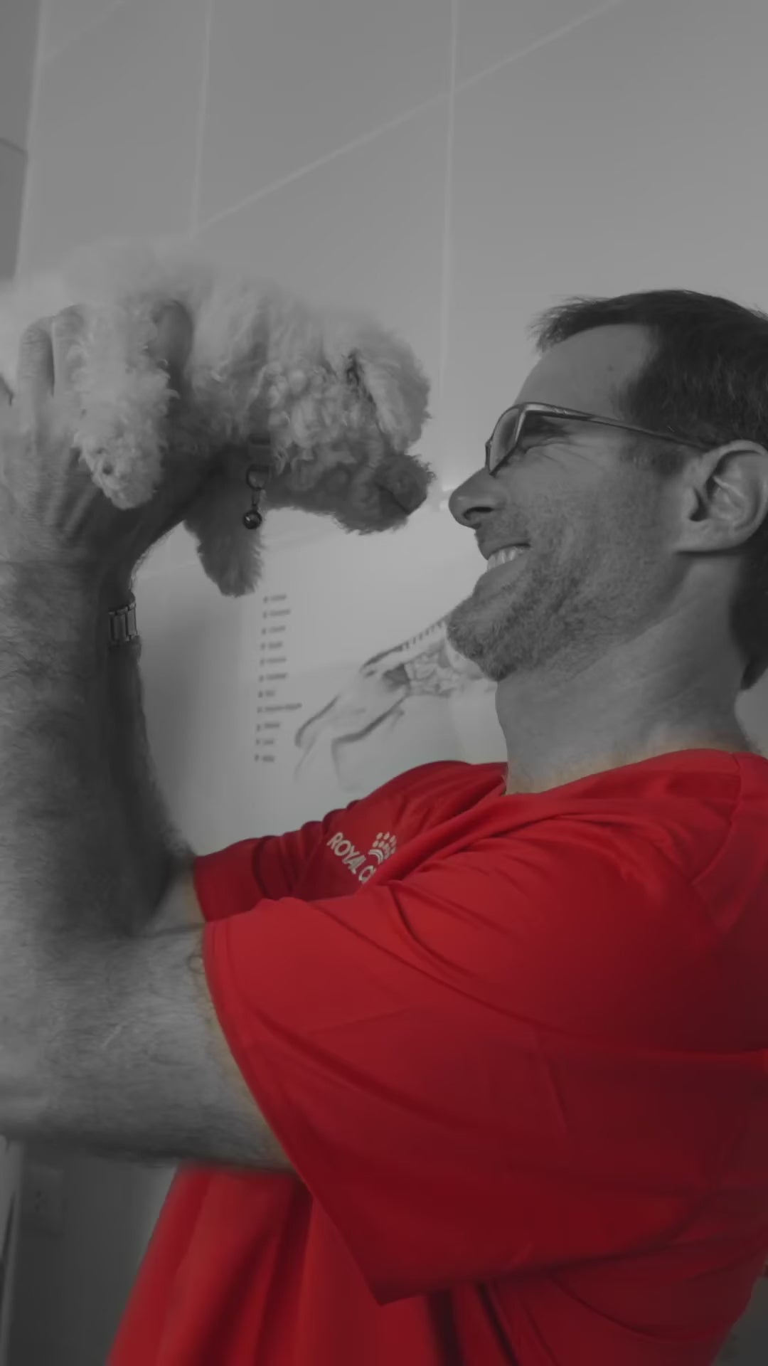 Royal Canin Anallergenic: entrevista veterinaria sobre dieta de eliminación: vídeo oficial con información en español.