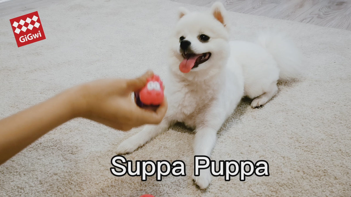 GiGwi Suppa Puppa de TPR: juguetes con sonido para cachorros, demostración de juego y mordida.