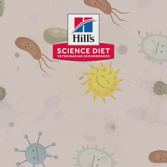 Hill’s Perfect Digestion: microbioma y salud digestiva: vídeo oficial con información en español.