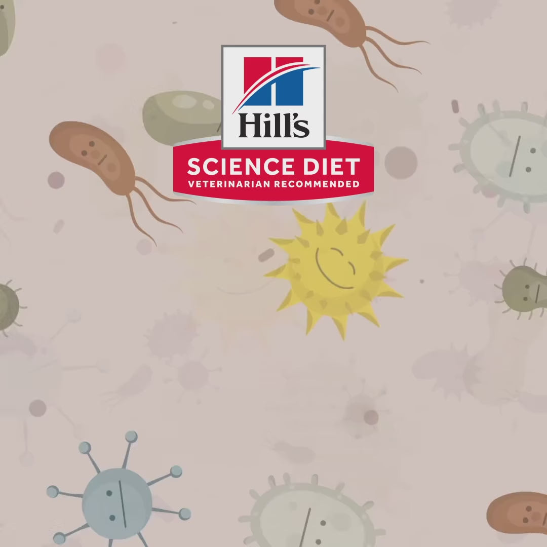 Hill’s Perfect Digestion: microbioma y salud digestiva: vídeo oficial con información en español.