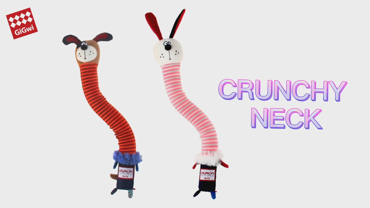 GiGwi Crunchy Neck: video oficial del producto