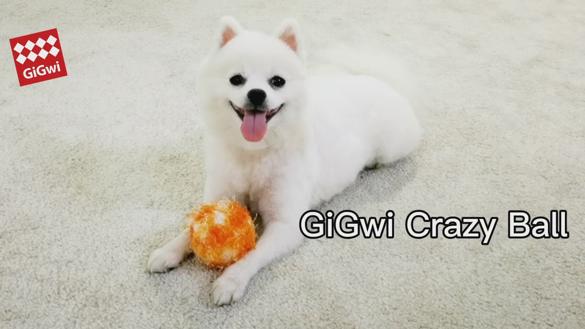 GiGwi Crazy Ball de felpa: video oficial del producto