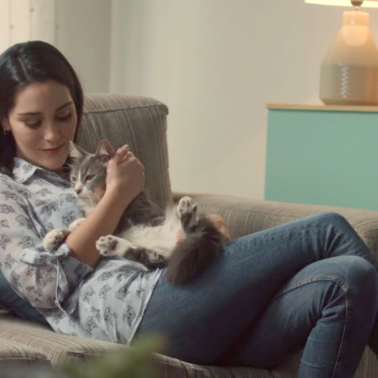 Ricocat Paté para gatos adultos: vídeo oficial en español.