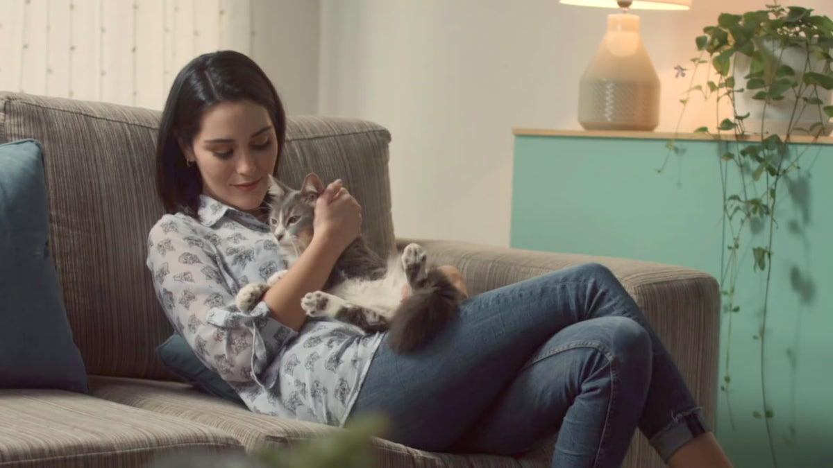 Ricocat Paté para gatos adultos: vídeo oficial en español.