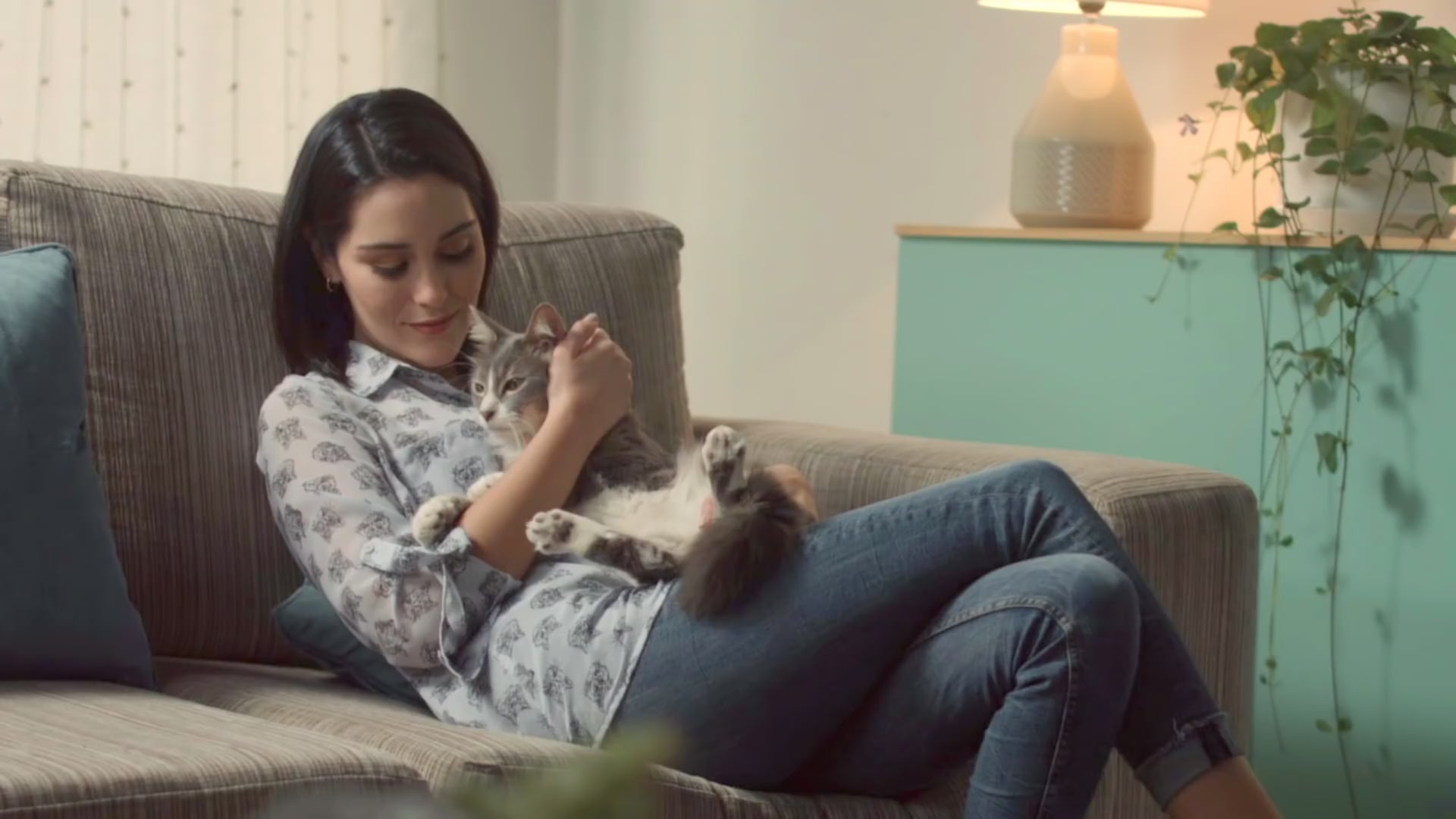 Ricocat Paté para gatos adultos: vídeo oficial en español.