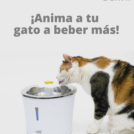 Catit - Flower Fountain de Acero Inoxidable