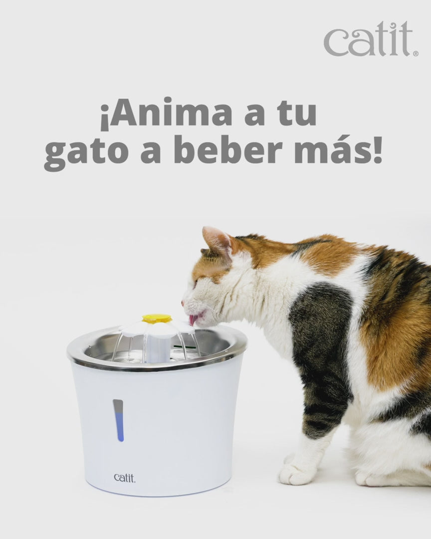 Catit - Flower Fountain de Acero Inoxidable