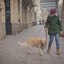Entero-Chronic para perros y gatos: caso veterinario de Bioiberica en español.