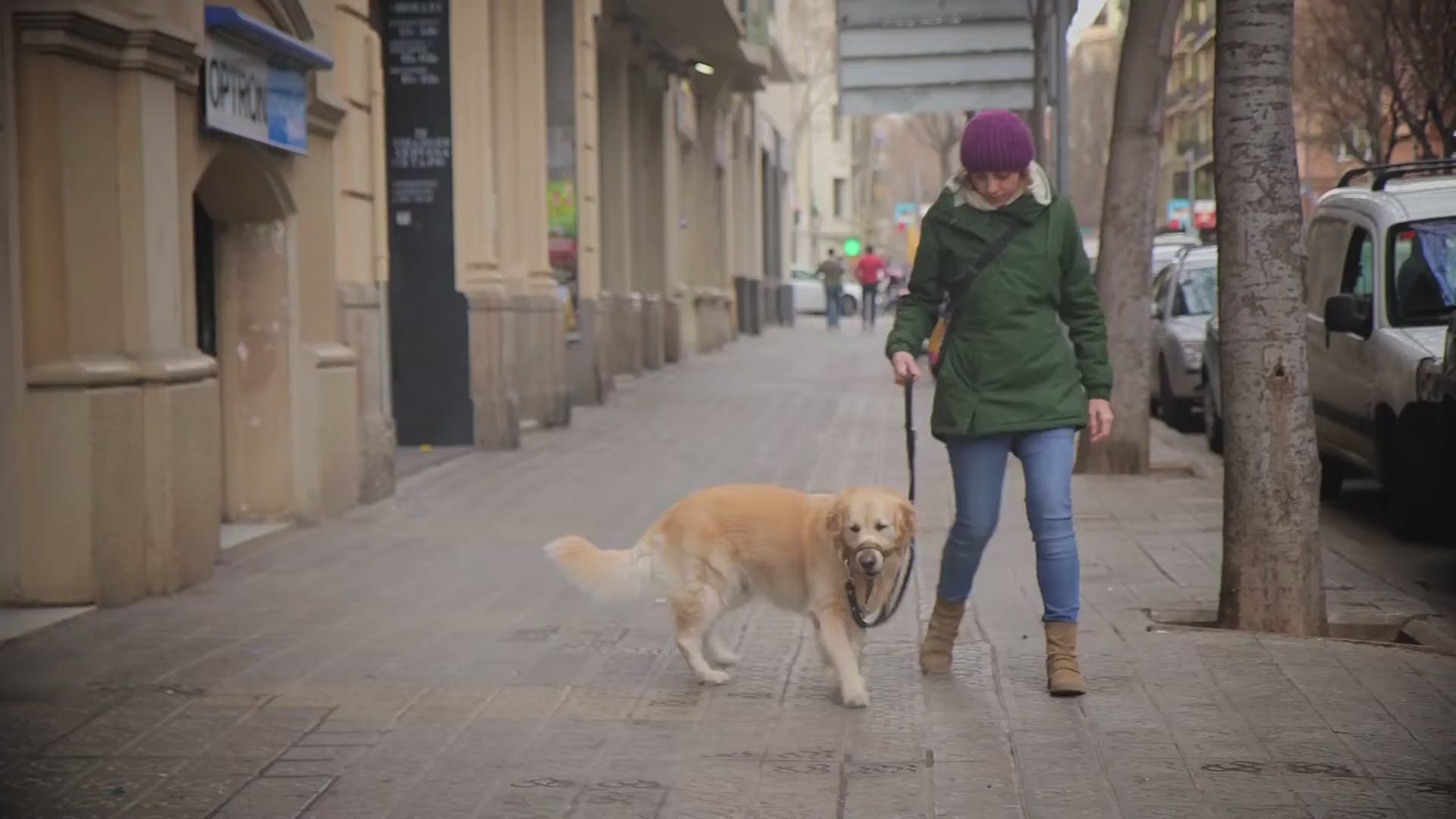 Entero-Chronic para perros y gatos: caso veterinario de Bioiberica en español.