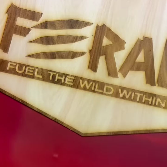 Gatos prueban los alimentos húmedos Feral en una degustación de la gama felina, con texto en español.