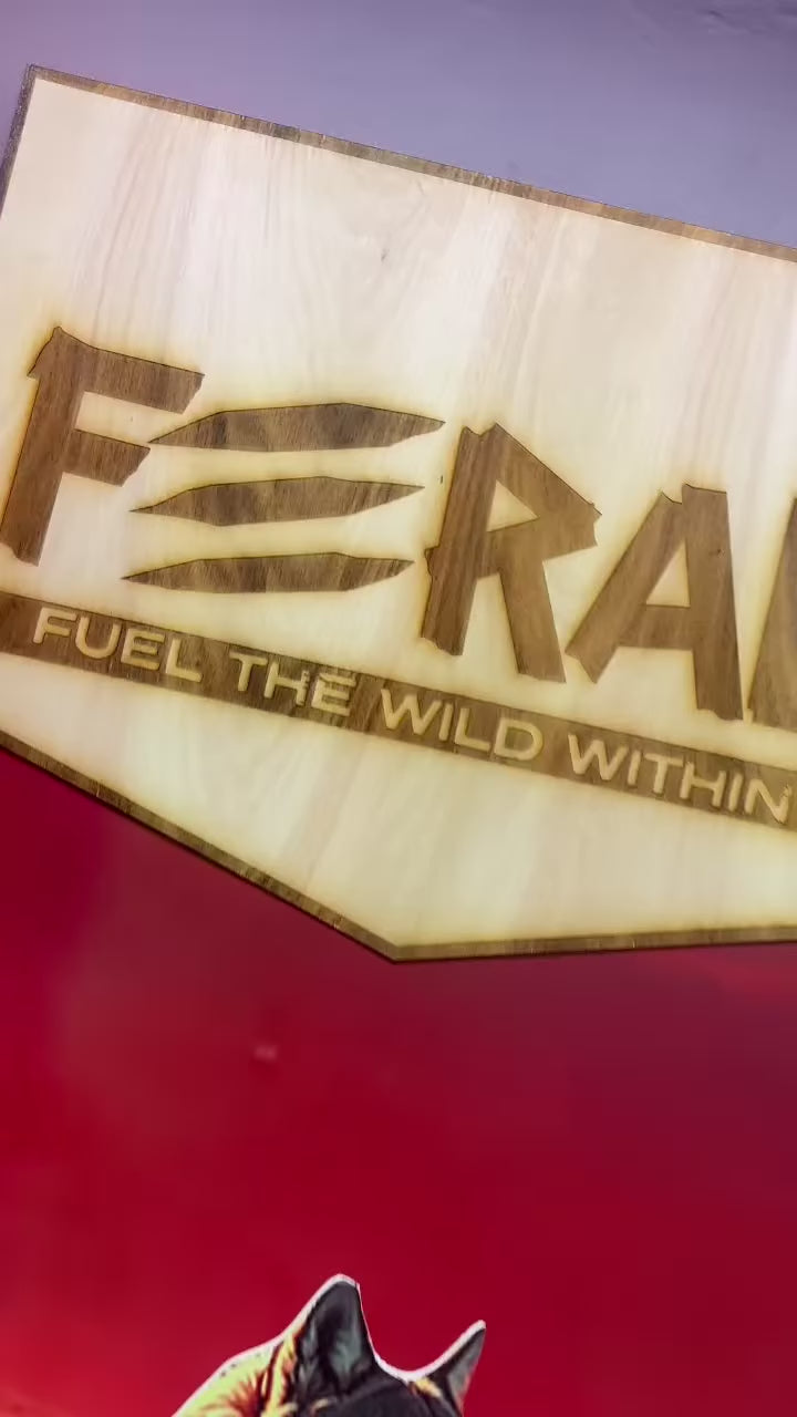 Gatos prueban los alimentos húmedos Feral en una degustación de la gama felina, con texto en español.