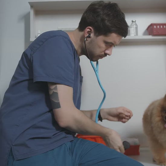 VetSolution: alimentación específica con recomendación veterinaria: vídeo oficial con información en español.