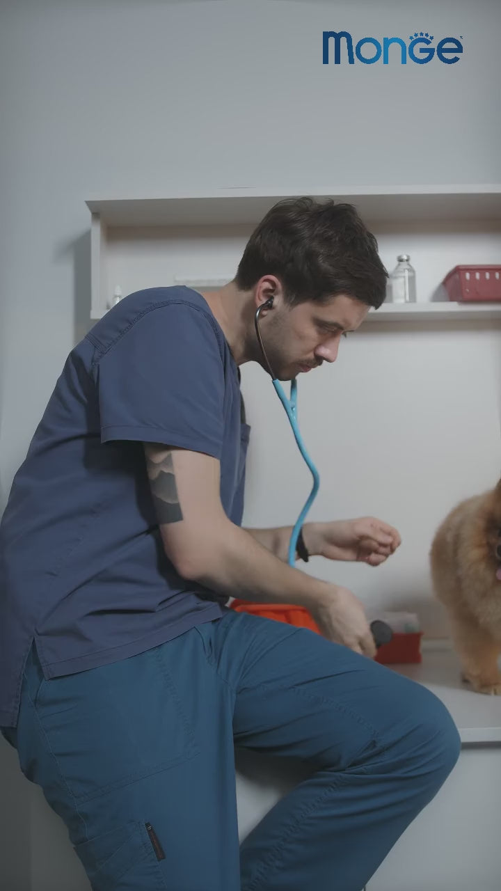 VetSolution: alimentación específica con recomendación veterinaria: vídeo oficial con información en español.