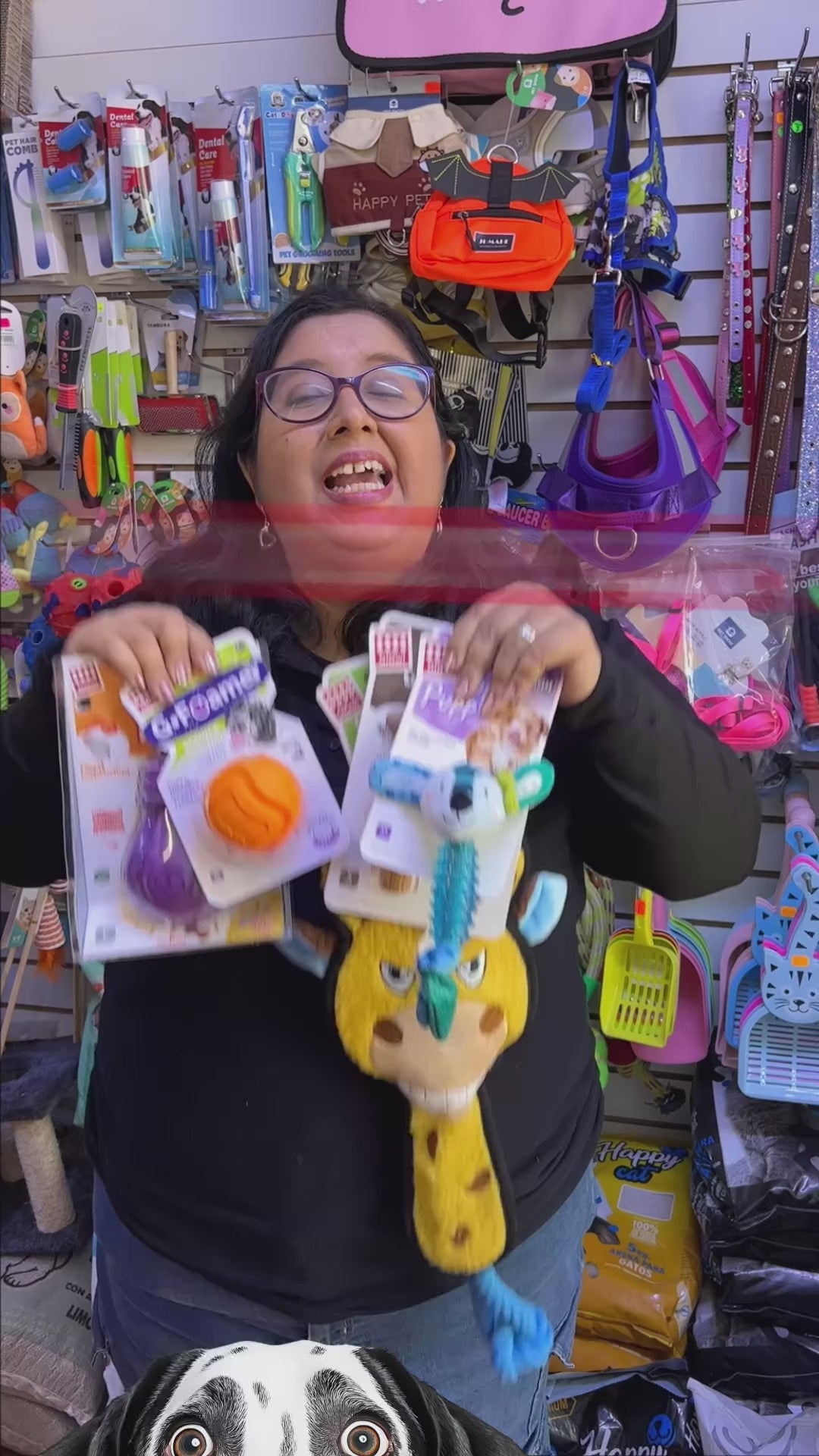 Gigwi: elige juguetes según la etapa de tu perro. Vídeo oficial en español del distribuidor Ludipek.