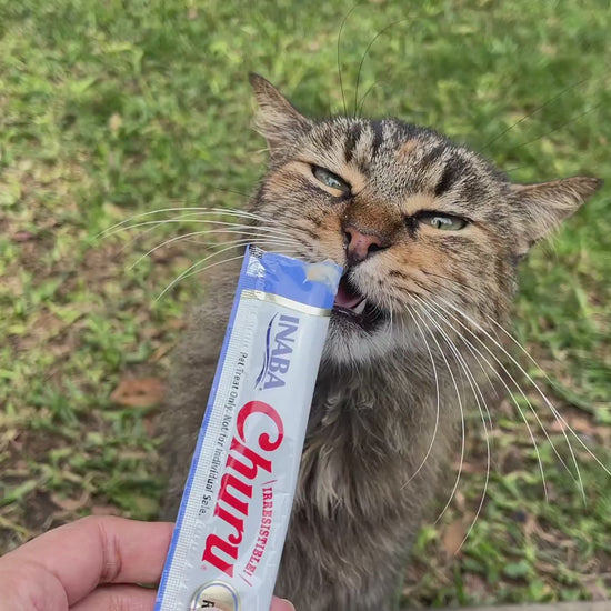Inaba Churu INABA Churu | Premio cremoso para gatos sabor atún — vídeo del producto proporcionado por Ludipek