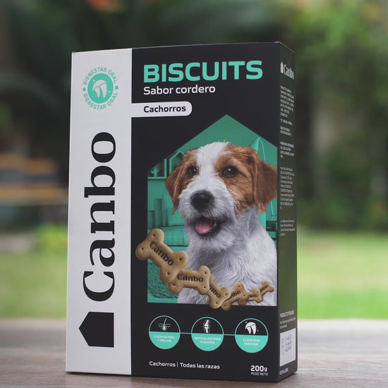Canbo Biscuits sabor cordero para cachorros: vídeo oficial en español.