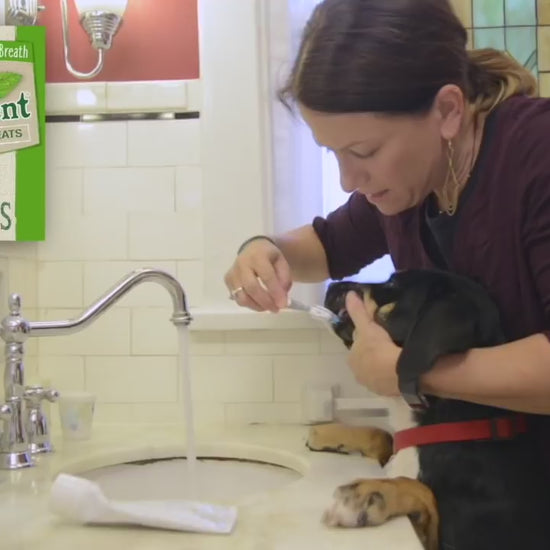 “Daily Routine” by Nutri Dent® Limited Ingredients Dental Chews Treats