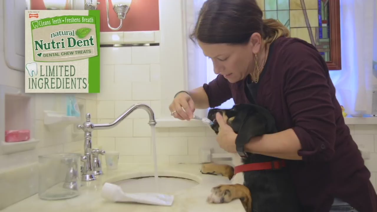 “Daily Routine” by Nutri Dent® Limited Ingredients Dental Chews Treats