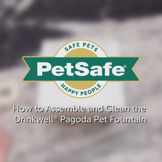 How to Assemble and Clean Your Drinkwell® Pagoda Pet Fountain
